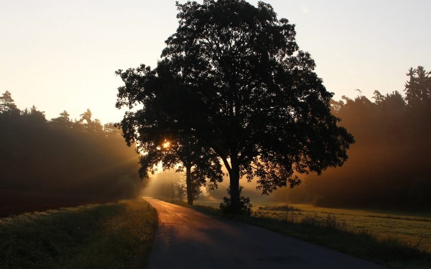 Rural Bavarian countryside sunset